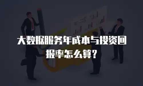 大数据服务年成本与投资回报率怎么算？