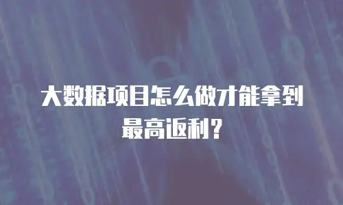 大数据项目怎么做才能拿到最高返利？
