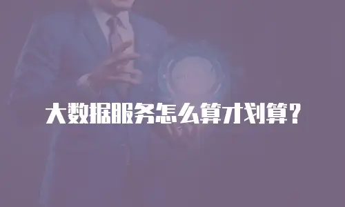 大数据服务怎么算才划算？