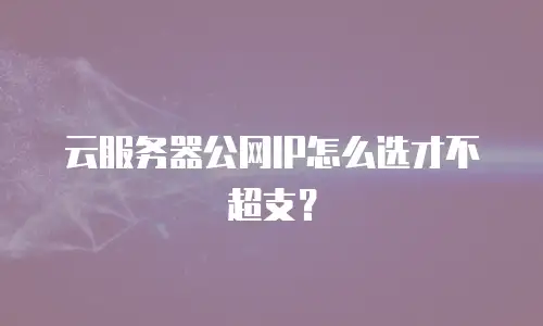 云服务器公网IP怎么选才不超支？