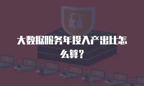 大数据服务年投入产出比怎么算？
