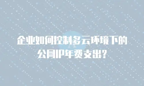 企业如何控制多云环境下的公网IP年费支出？