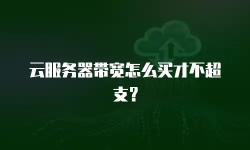 云服务器带宽怎么买才不超支？