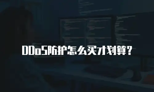 DDoS防护怎么买才划算？