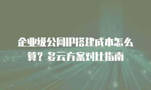 企业级公网IP搭建成本怎么算？多云方案对比指南