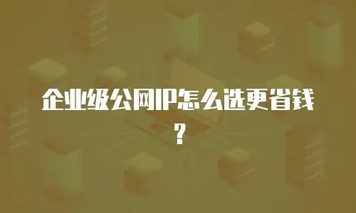企业级公网IP怎么选更省钱？