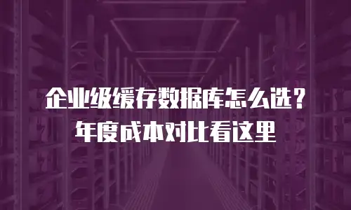 企业级缓存数据库怎么选？年度成本对比看这里