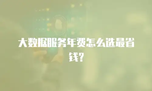 大数据服务年费怎么选最省钱？