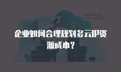 企业如何合理规划多云IP资源成本？
