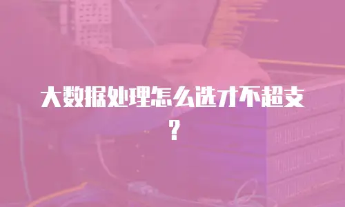 大数据处理怎么选才不超支？