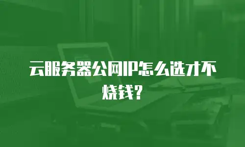云服务器公网IP怎么选才不烧钱？