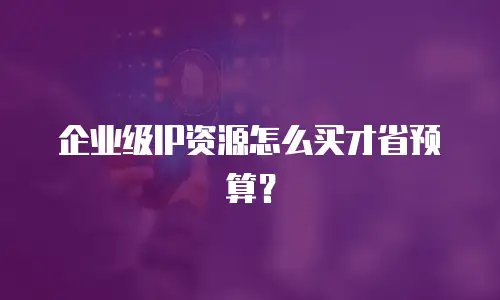 企业级IP资源怎么买才省预算？