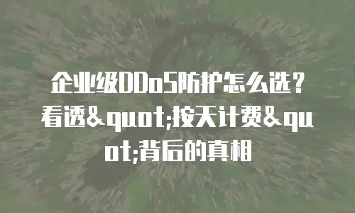 企业级DDoS防护怎么选？看透"按天计费"背后的真相