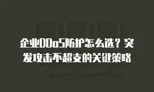 企业DDoS防护怎么选？突发攻击不超支的关键策略