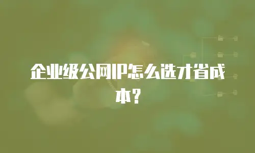企业级公网IP怎么选才省成本？