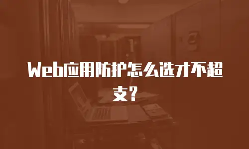 Web应用防护怎么选才不超支？