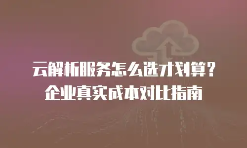 云解析服务怎么选才划算？企业真实成本对比指南