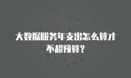 大数据服务年支出怎么算才不超预算？
