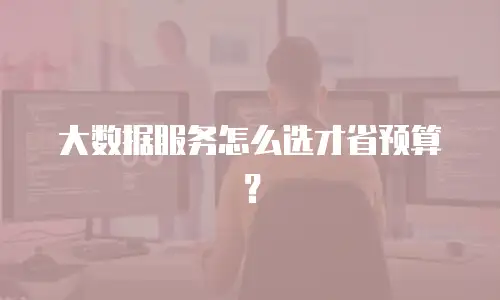 大数据服务怎么选才省预算？