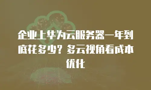 企业上华为云服务器一年到底花多少？多云视角看成本优化