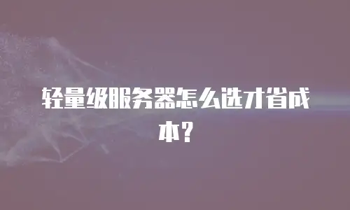 轻量级服务器怎么选才省成本？