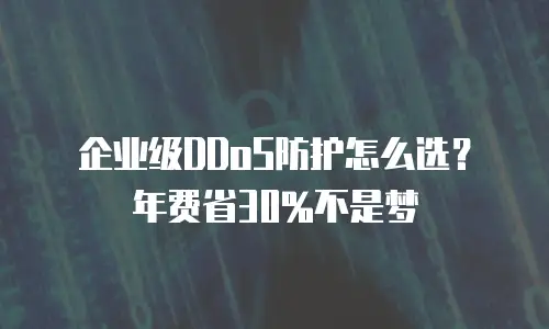 企业级DDoS防护怎么选？年费省30%不是梦