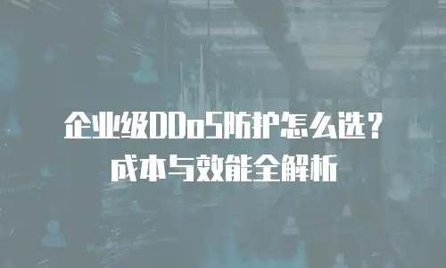 企业级DDoS防护怎么选？成本与效能全解析