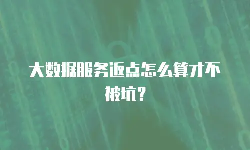 大数据服务返点怎么算才不被坑？