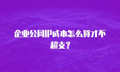 企业公网IP成本怎么算才不超支？