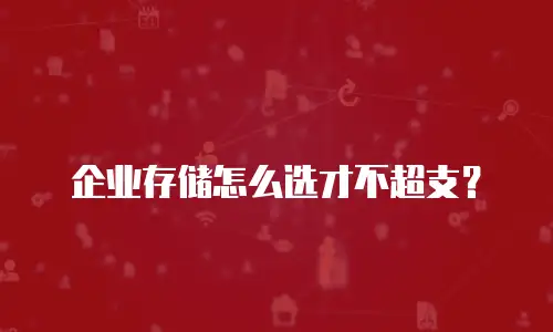 企业存储怎么选才不超支？