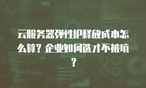 云服务器弹性IP释放成本怎么算？企业如何选才不被坑？