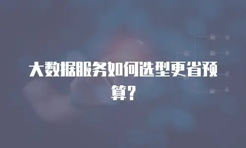 大数据服务如何选型更省预算？
