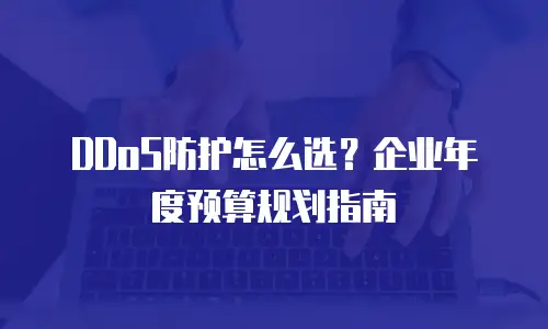 DDoS防护怎么选？企业年度预算规划指南