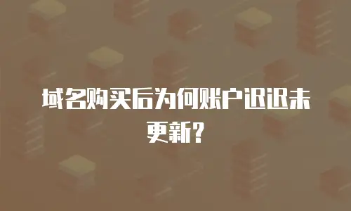 域名购买后为何账户迟迟未更新？