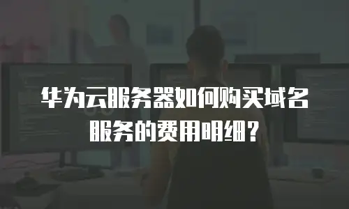 华为云服务器如何购买域名服务的费用明细？