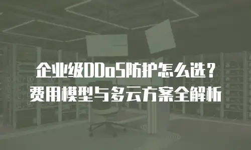 企业级DDoS防护怎么选？费用模型与多云方案全解析