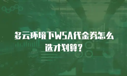 多云环境下WSA代金券怎么选才划算？