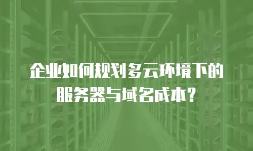 企业如何规划多云环境下的服务器与域名成本？
