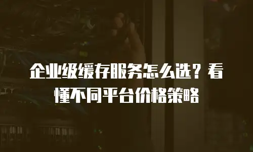 企业级缓存服务怎么选？看懂不同平台价格策略
