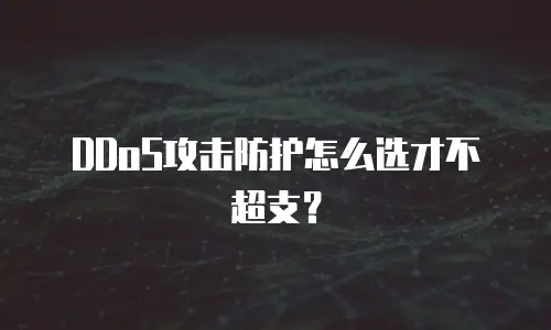DDoS攻击防护怎么选才不超支？