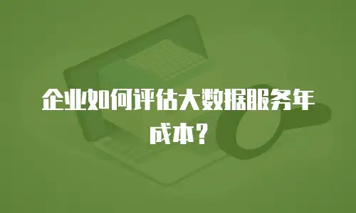 企业如何评估大数据服务年成本？
