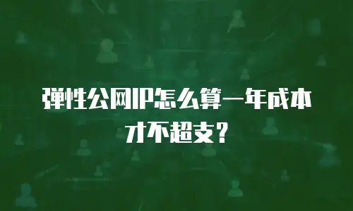 弹性公网IP怎么算一年成本才不超支？