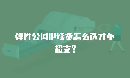 弹性公网IP续费怎么选才不超支？