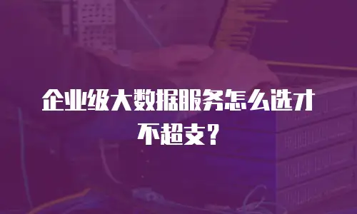 企业级大数据服务怎么选才不超支？