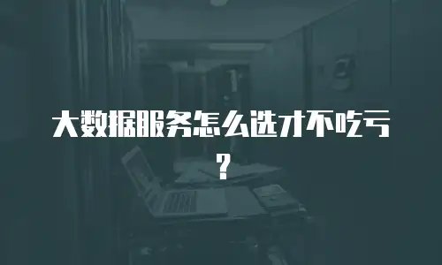 大数据服务怎么选才不吃亏？
