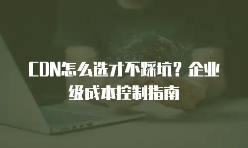 CDN怎么选才不踩坑？企业级成本控制指南