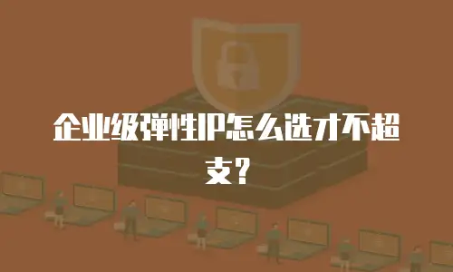 企业级弹性IP怎么选才不超支？