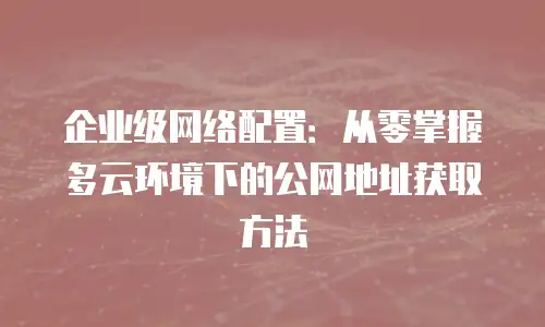 企业级网络配置：从零掌握多云环境下的公网地址获取方法
