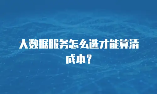 大数据服务怎么选才能算清成本？