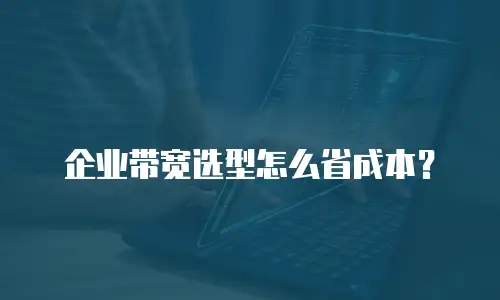 企业带宽选型怎么省成本？